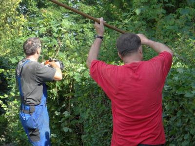 Foto des Albums: Bürgeraktion auf dem Friedhof Malborn