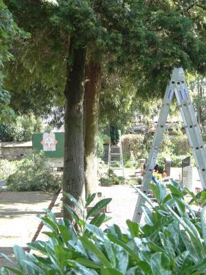 Foto des Albums: Bürgeraktion auf dem Friedhof Malborn
