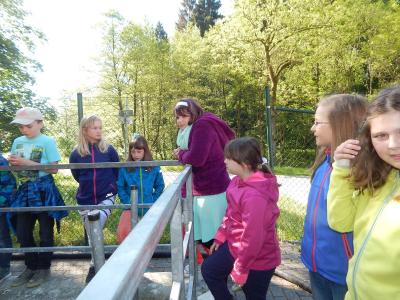 Foto des Albums: Exkursion Klasse 4 Klär- und Wasserwerk