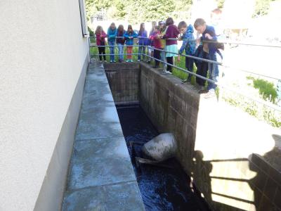 Foto des Albums: Exkursion Klasse 4 Klär- und Wasserwerk