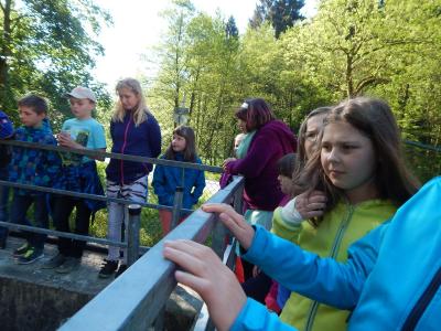 Foto des Albums: Exkursion Klasse 4 Klär- und Wasserwerk