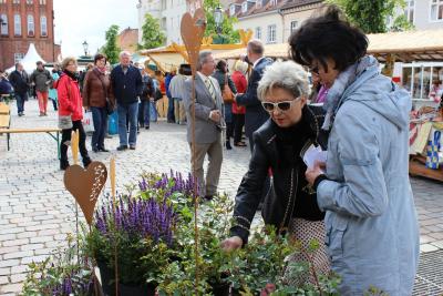 Foto des Albums: Rosentaufe (01.06.2015)