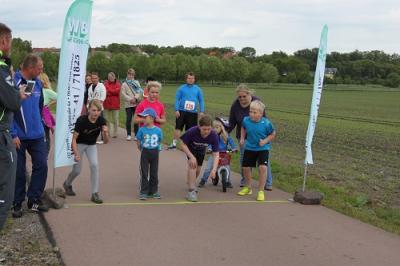 Foto des Albums: Seelandlauf 2015