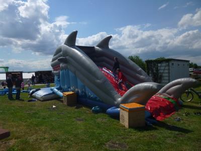 Foto des Albums: Seelandfest 2015