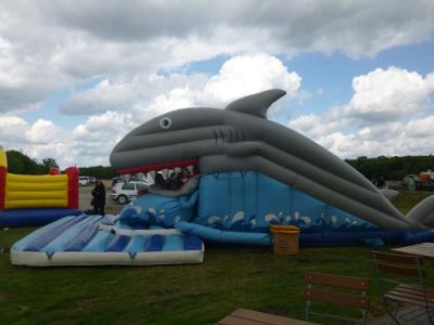 Foto des Albums: Seelandfest 2015