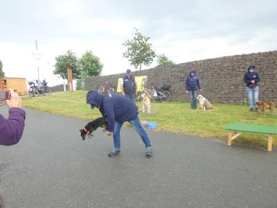Foto des Albums: Seelandfest 2015