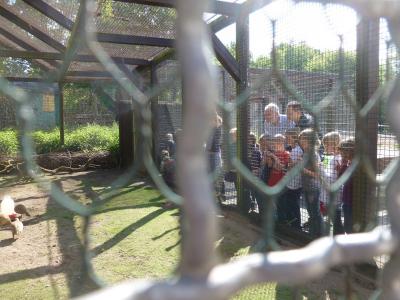Foto des Albums: Thementage "Haustiere" Klasse 2 und FLEX