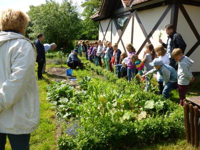Foto des Albums: Thementage "Haustiere" Klasse 2 und FLEX