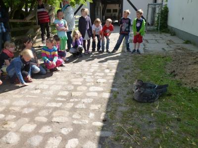 Foto des Albums: Thementage "Haustiere" Klasse 2 und FLEX
