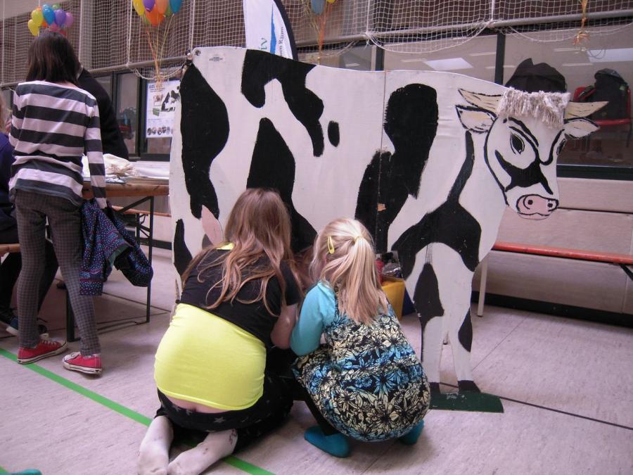 Bild der Galerie