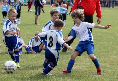 Foto des Albums: Fussballnachwuchs in Aktion