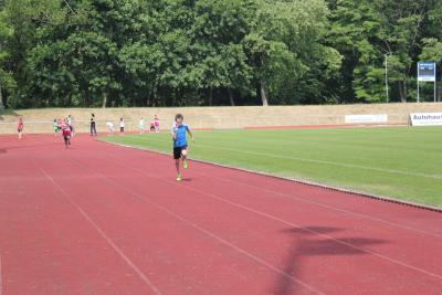 Foto des Albums: Sportfest 2015