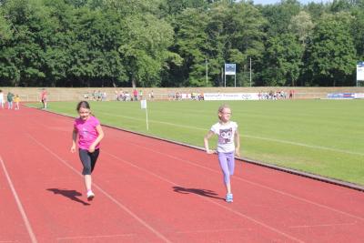 Foto des Albums: Sportfest 2015