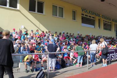 Foto des Albums: Sportfest 2015