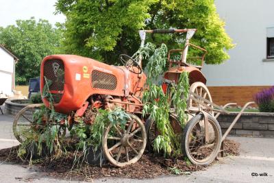 Foto des Albums: Dorffest 2015 - Oldtimer