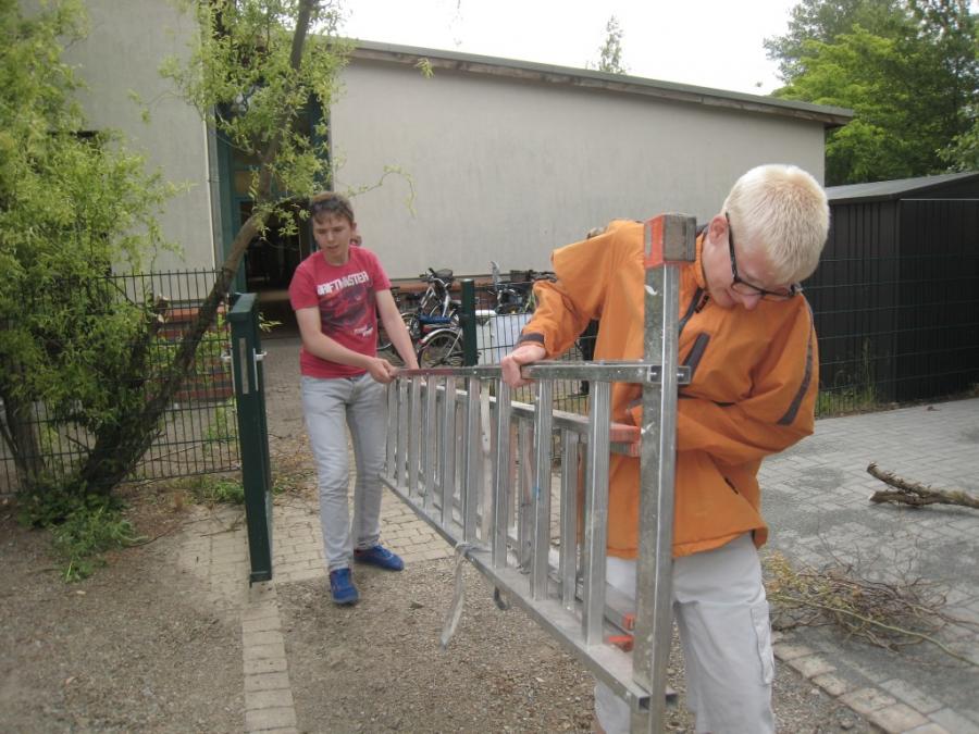 Bild der Galerie