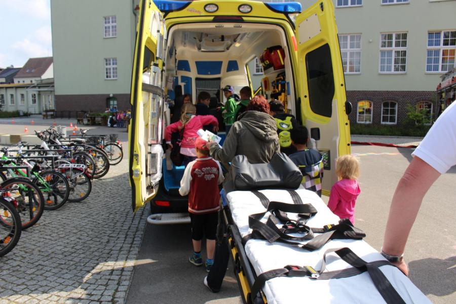 Bild der Galerie