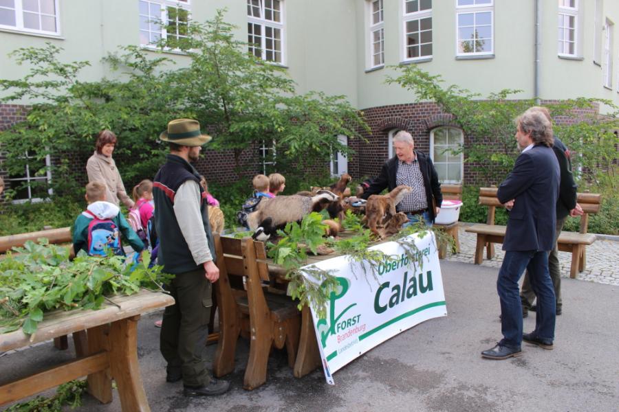 Bild der Galerie