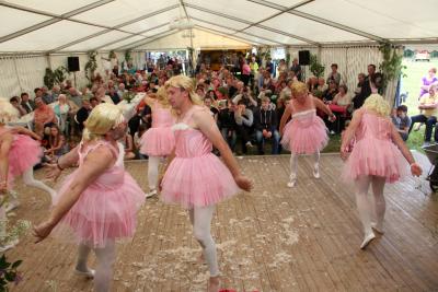 Foto des Albums: Dorffest 2015 in Waltersdorf