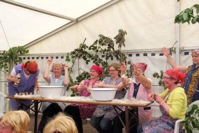 Foto des Albums: Dorffest 2015 in Waltersdorf