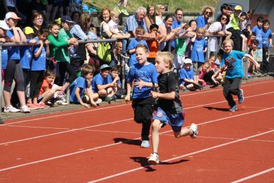 Foto des Albums: Sportfest 2015