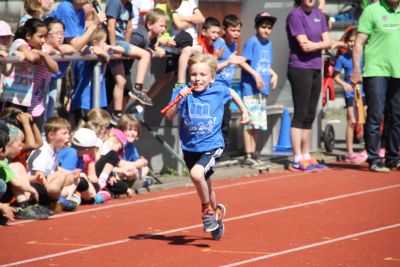 Foto des Albums: Sportfest 2015