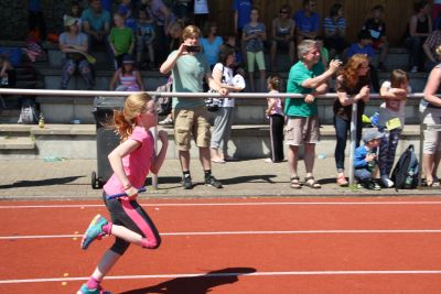 Foto des Albums: Sportfest 2015