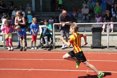Foto des Albums: Sportfest 2015