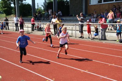 Foto des Albums: Sportfest 2015