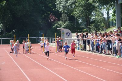 Foto des Albums: Sportfest 2015
