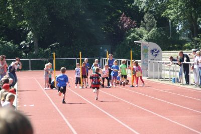 Foto des Albums: Sportfest 2015
