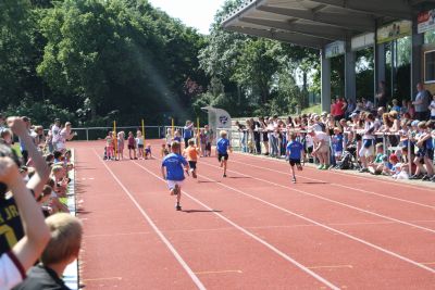 Foto des Albums: Sportfest 2015