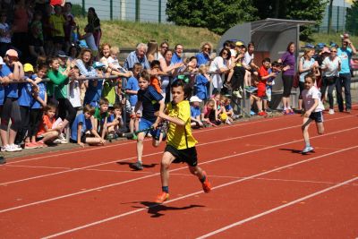 Foto des Albums: Sportfest 2015