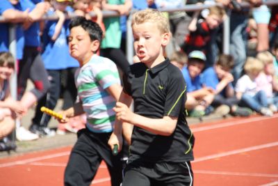 Foto des Albums: Sportfest 2015