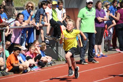 Foto des Albums: Sportfest 2015