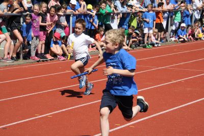 Foto des Albums: Sportfest 2015