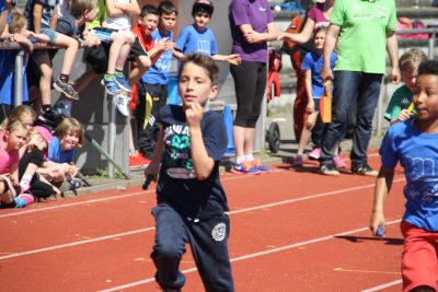 Foto des Albums: Sportfest 2015