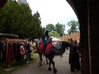 Foto des Albums: Plattenburgspektakel 2015 (22. 06. 2015)