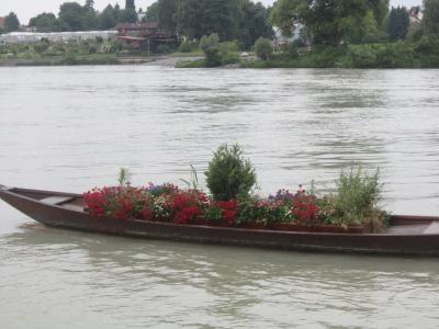 Foto des Albums: Ausflug 2015 nach Schärding