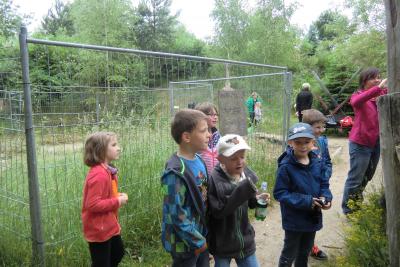 Foto des Albums: Kindertag in Einsiedel