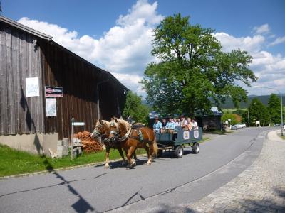 Foto des Albums: Eröffnung Landwirtschaftlicher Lehrpfad in Schönbrunn a. Lusen (04. 06. 2015)