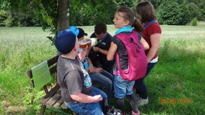 Foto des Albums: Abschlussfest Klasse 3