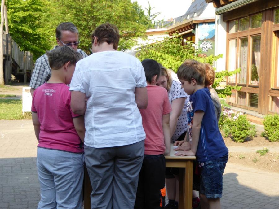Bild der Galerie