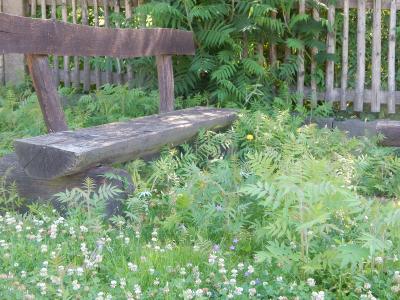 Foto des Albums: Schulgarten