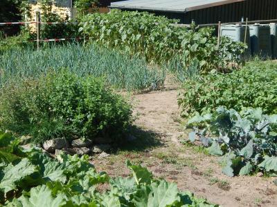 Foto des Albums: Schulgarten