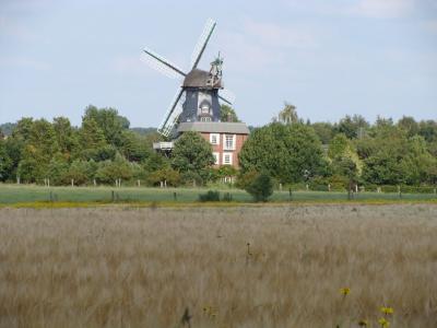 Foto des Albums: Alleen-Radtour 2015, Bericht