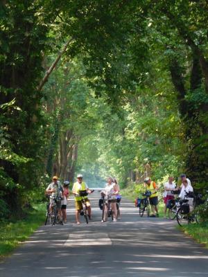 Foto des Albums: Alleen-Radtour 2015, Bericht