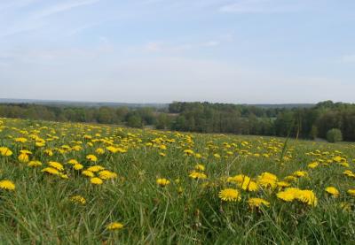 Foto des Albums: Alleen-Radtour 2015, Bericht