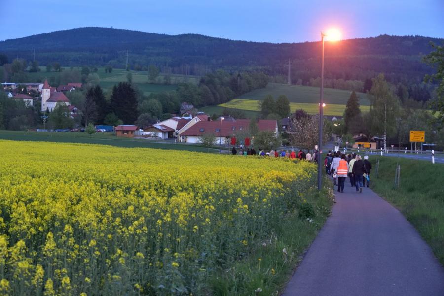 Bild der Galerie