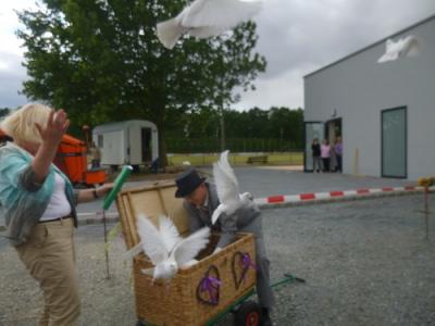 Foto des Albums: Einweihung der Zwei-Feld-Sporthalle im OT Nachterstedt